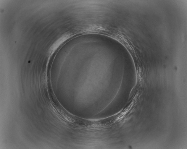 X0000069810196200605191054