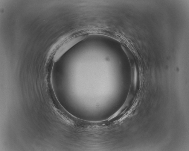 X0000069810197200605191054