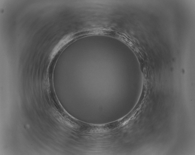 X0000069810198200605191054