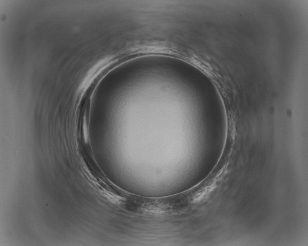 X0000069810199200605191054