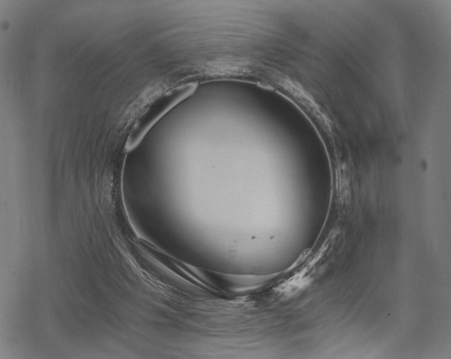 X0000069810201200605191054