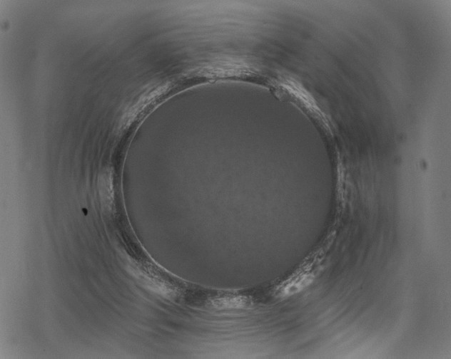 X0000069810202200605191054