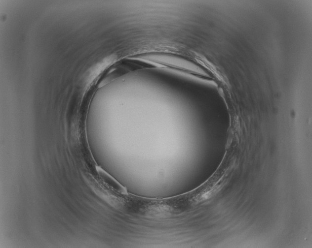 X0000069810203200605191054