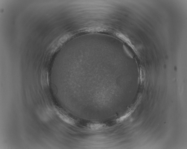 X0000069810205200605191054