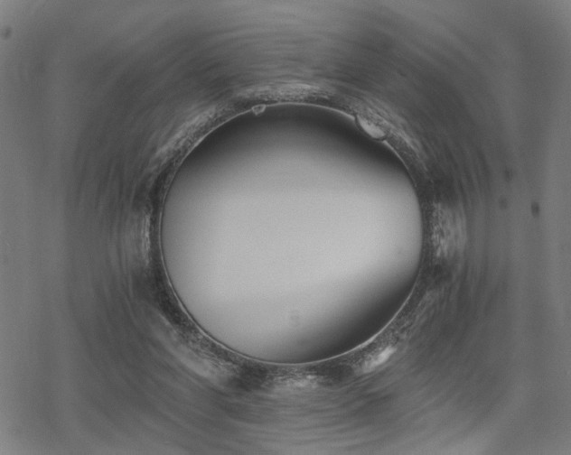 X0000069810206200605191054