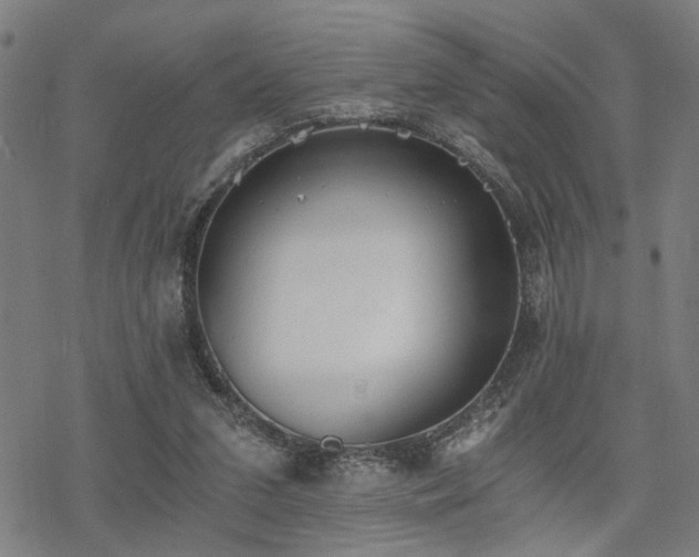 X0000069810207200605191054