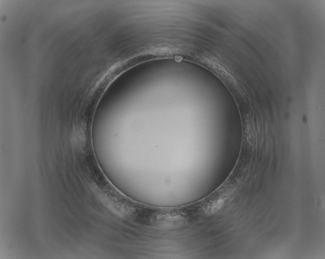 X0000069810208200605191054