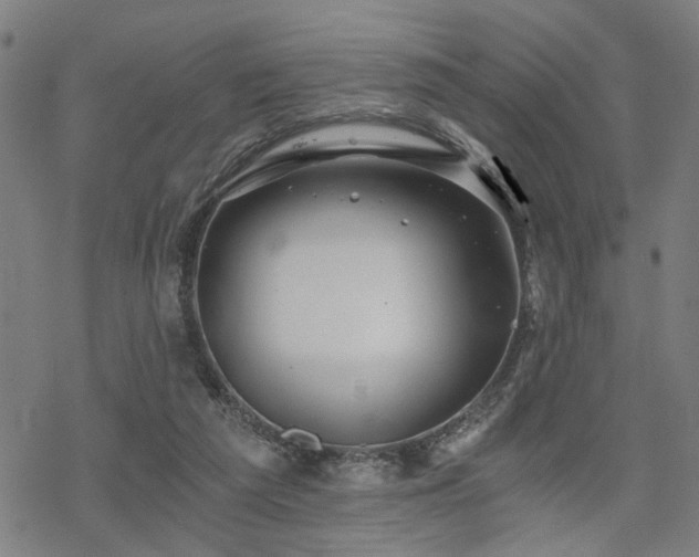 X0000069810209200605191054