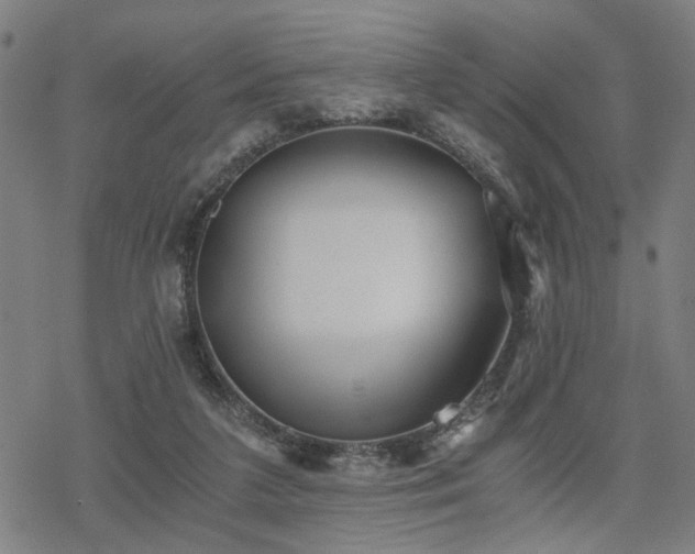 X0000069810211200605191054