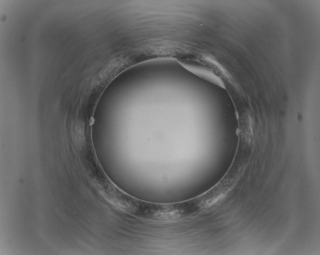 X0000069810213200605191054