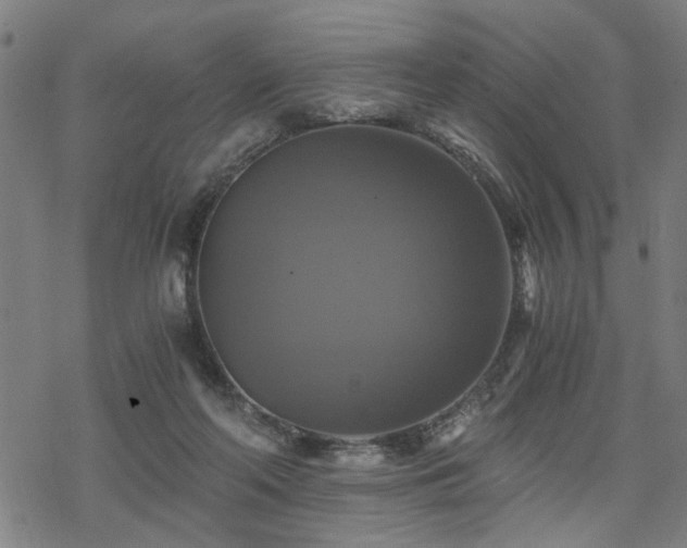 X0000069810214200605191054