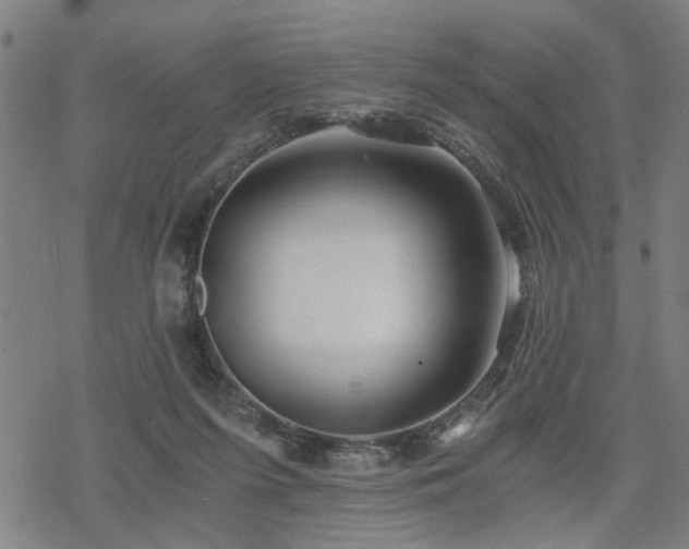 X0000069810215200605191054