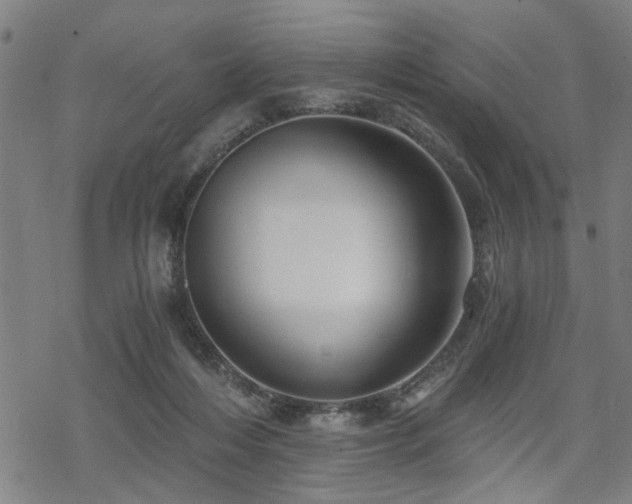 X0000069810216200605191054