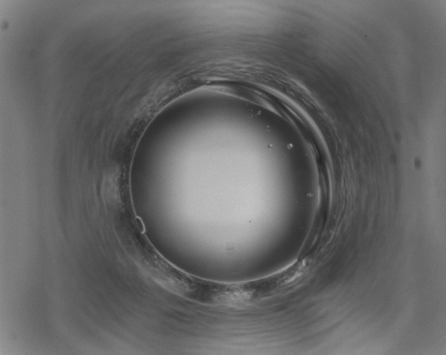 X0000069810217200605191054