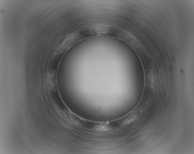 X0000069810218200605191054