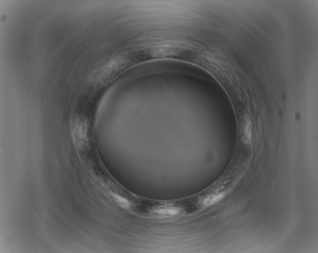 X0000069810219200605191054