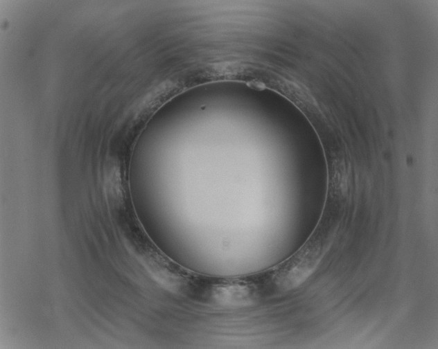 X0000069810220200605191054