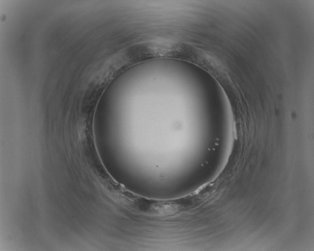 X0000069810221200605191054