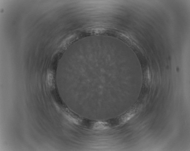 X0000069810222200605191054