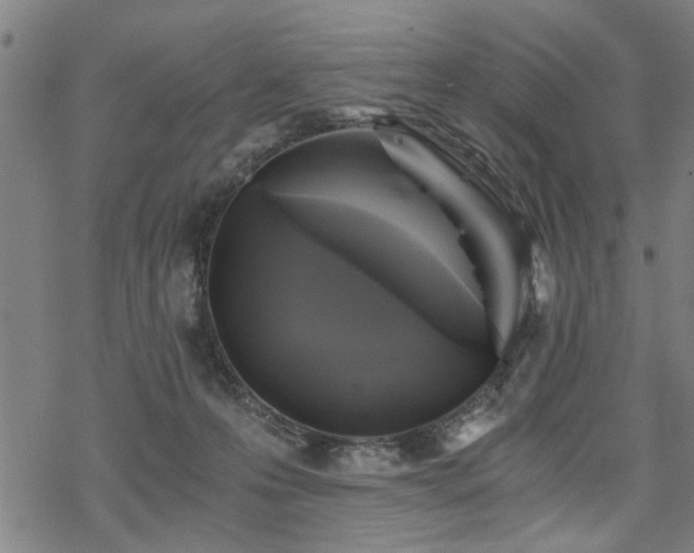 X0000069810223200605191054