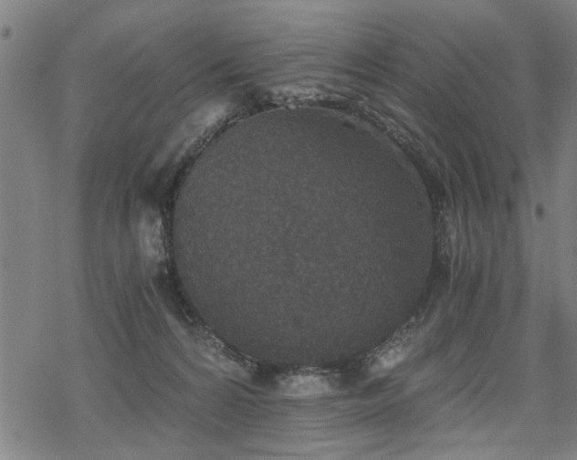 X0000069810224200605191054