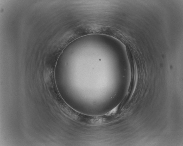 X0000069810225200605191054