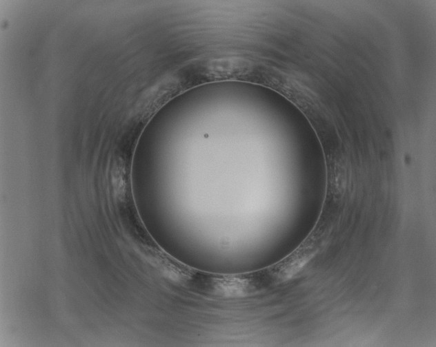 X0000069810226200605191054