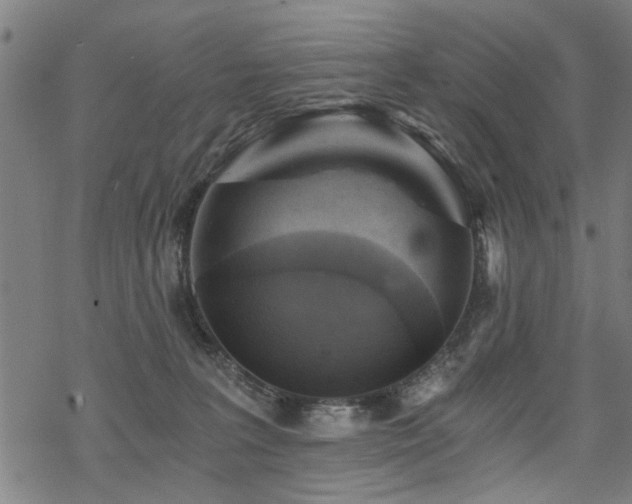 X0000069810227200605191053