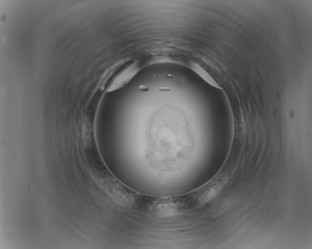 X0000069810228200605191053