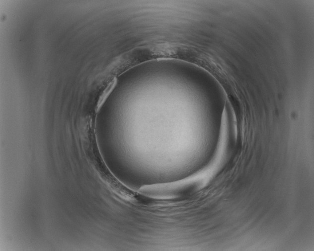 X0000069810229200605191053