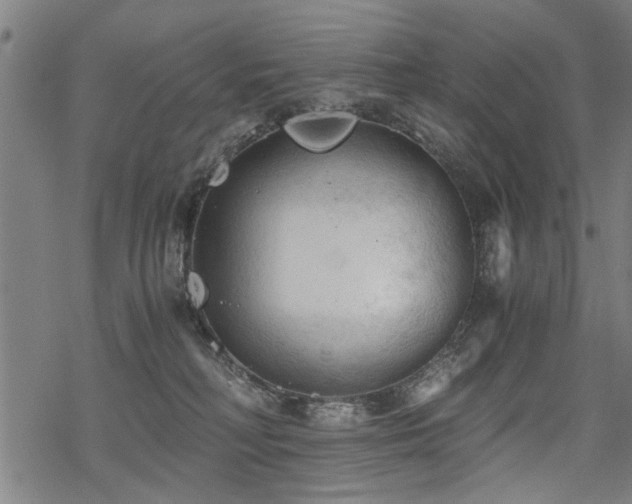 X0000069810230200605191053