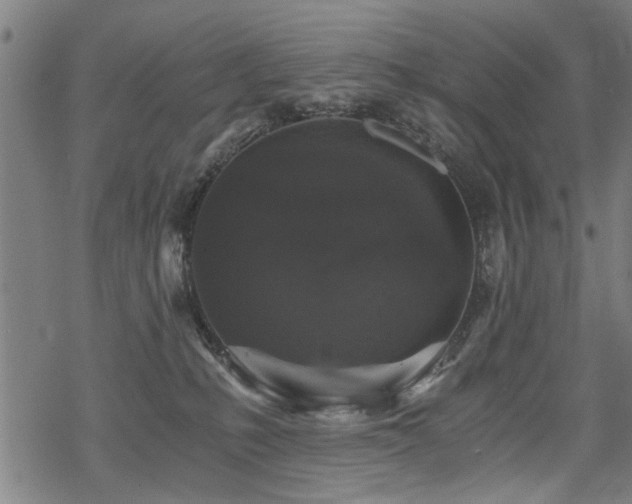 X0000069810231200605191053