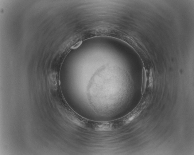 X0000069810232200605191053