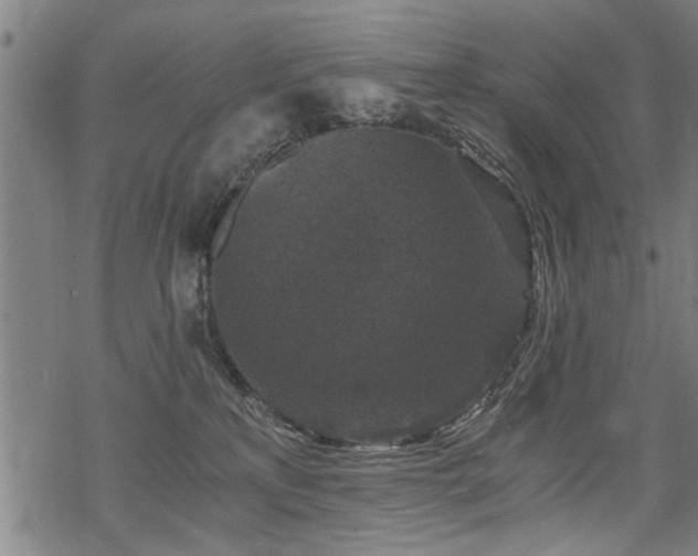 X0000069810233200605191053