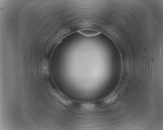 X0000069810234200605191053