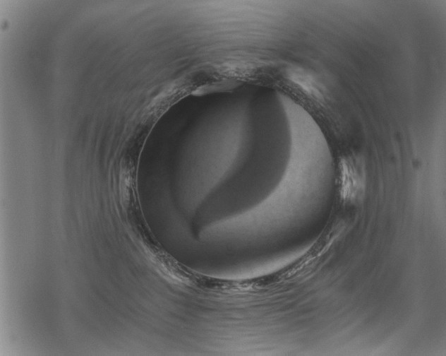 X0000069810235200605191053