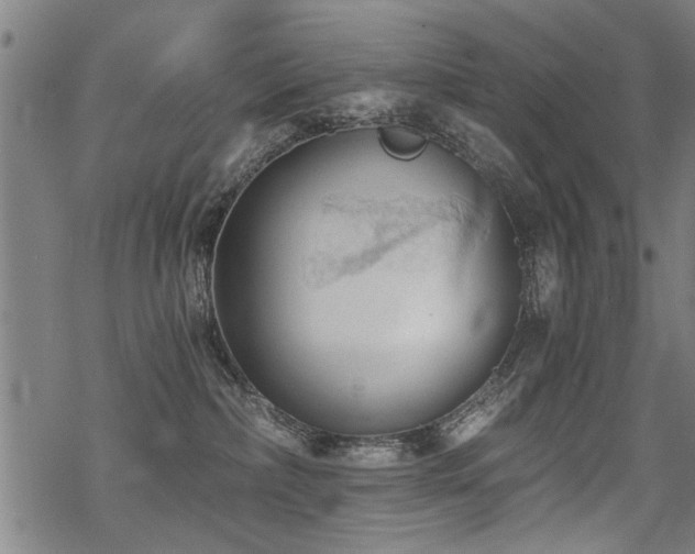 X0000069810236200605191053