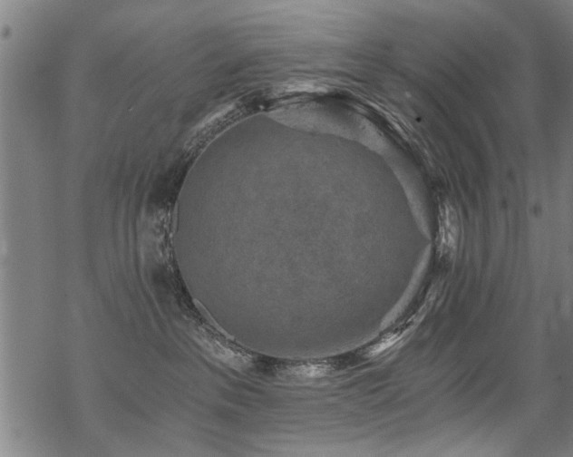 X0000069810237200605191053