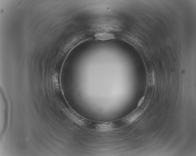 X0000069810238200605191053