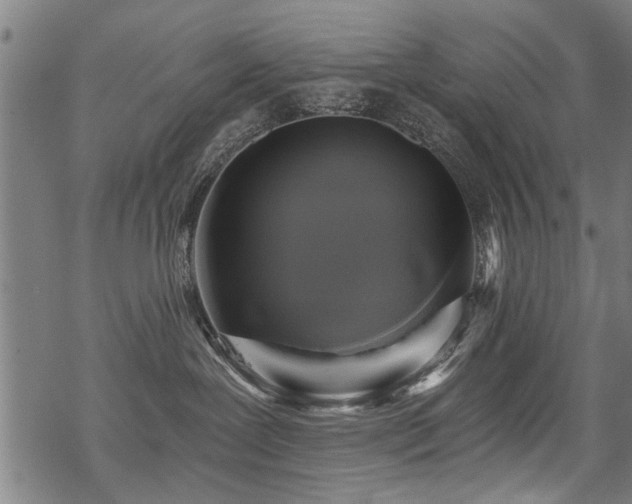 X0000069810239200605191053