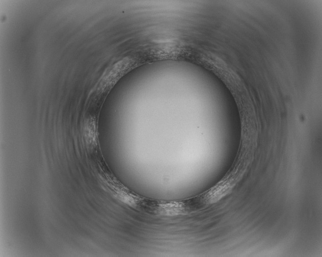 X0000069810240200605191053