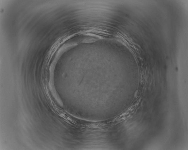 X0000069810241200605191052