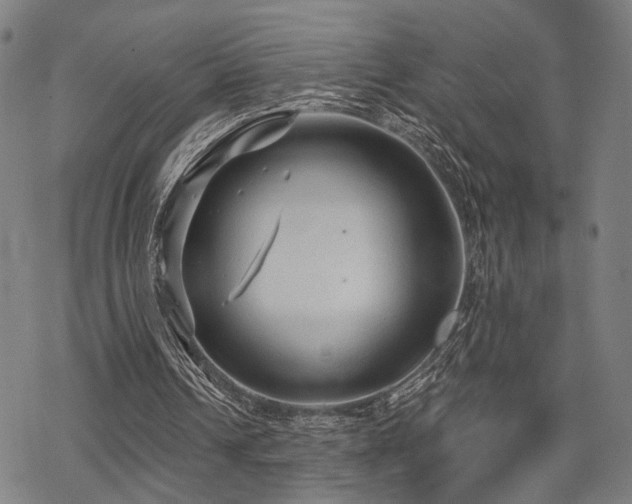 X0000069810242200605191053