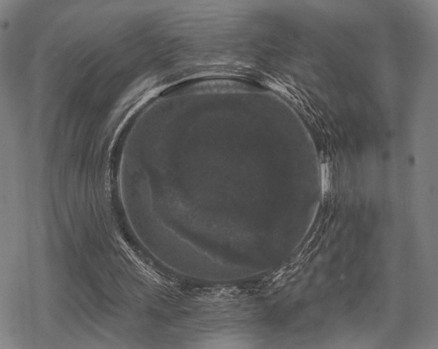 X0000069810243200605191053