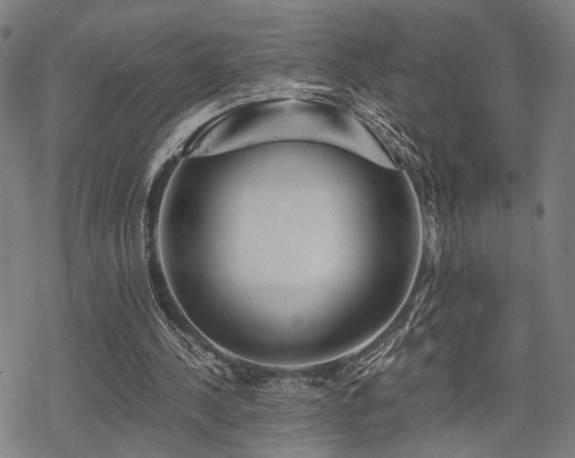 X0000069810244200605191053