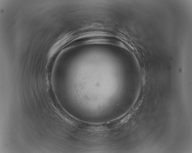 X0000069810245200605191053