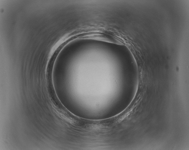 X0000069810246200605191053