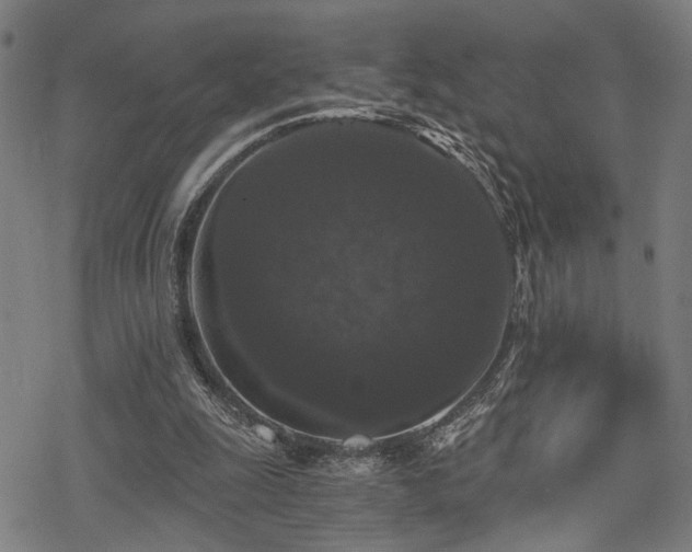 X0000069810247200605191053