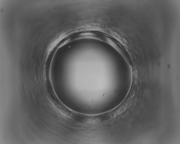 X0000069810248200605191053