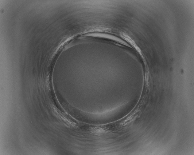 X0000069810249200605191053